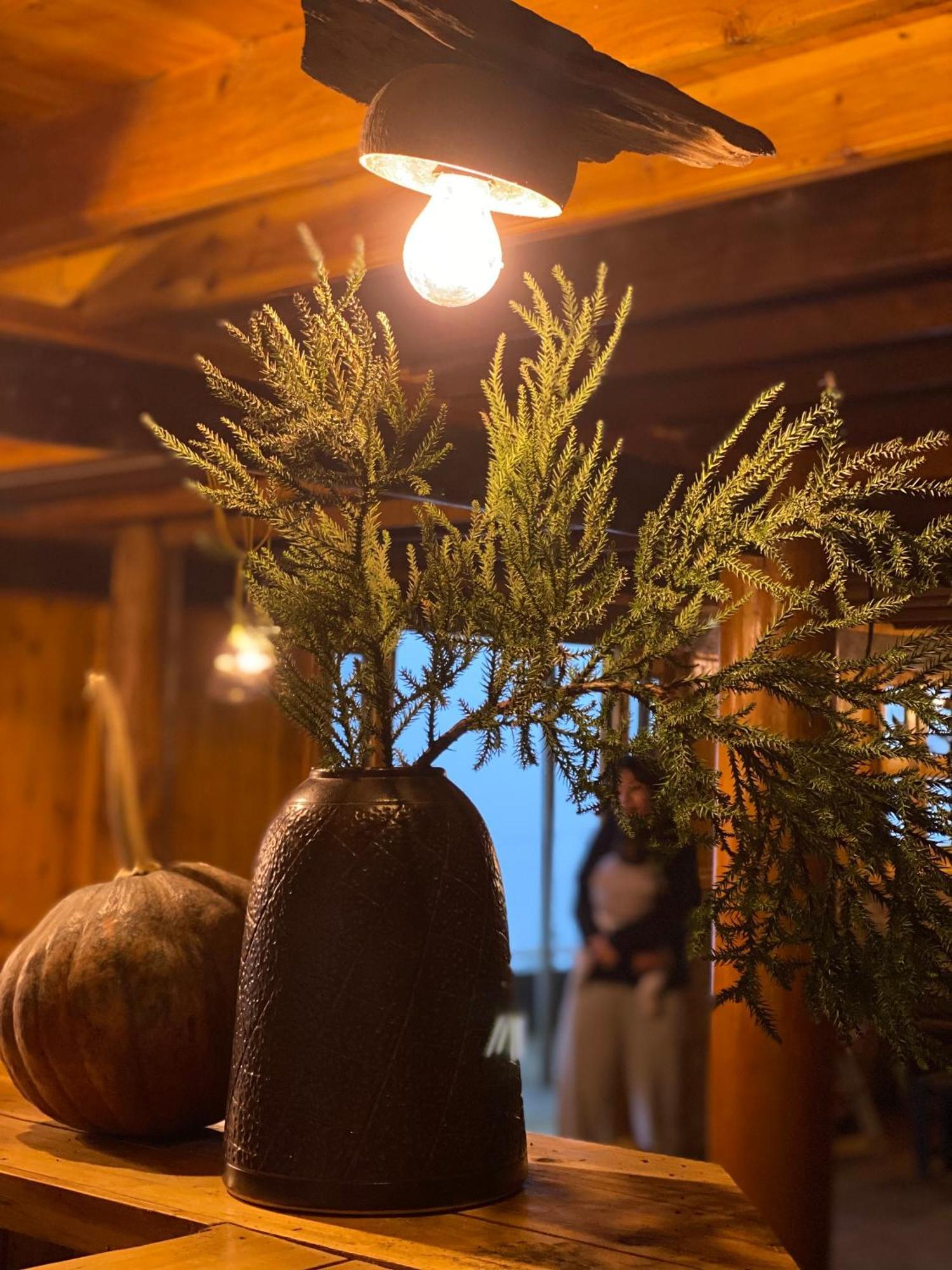 Pham'S House - Homestay & Cafe サパ エクステリア 写真